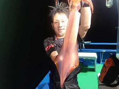 マイカ(ケンサキイカ)