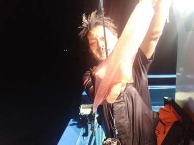 マイカ(ケンサキイカ)