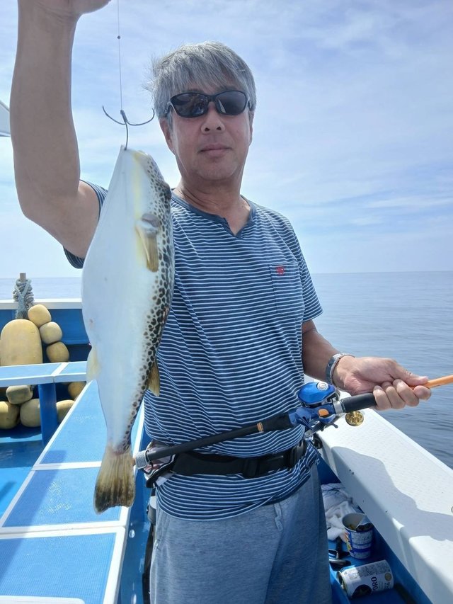 フグ(ショウサイフグ)