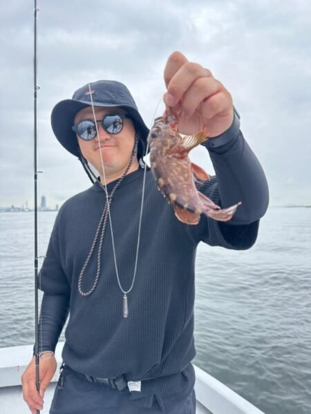 アコウ(キジハタ)