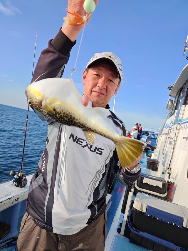 ショウサイフグ