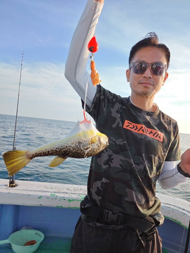 ショウサイフグ