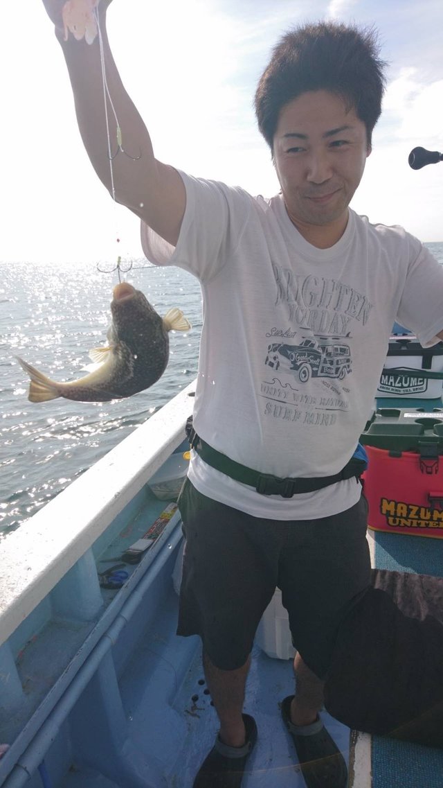 ショウサイフグ