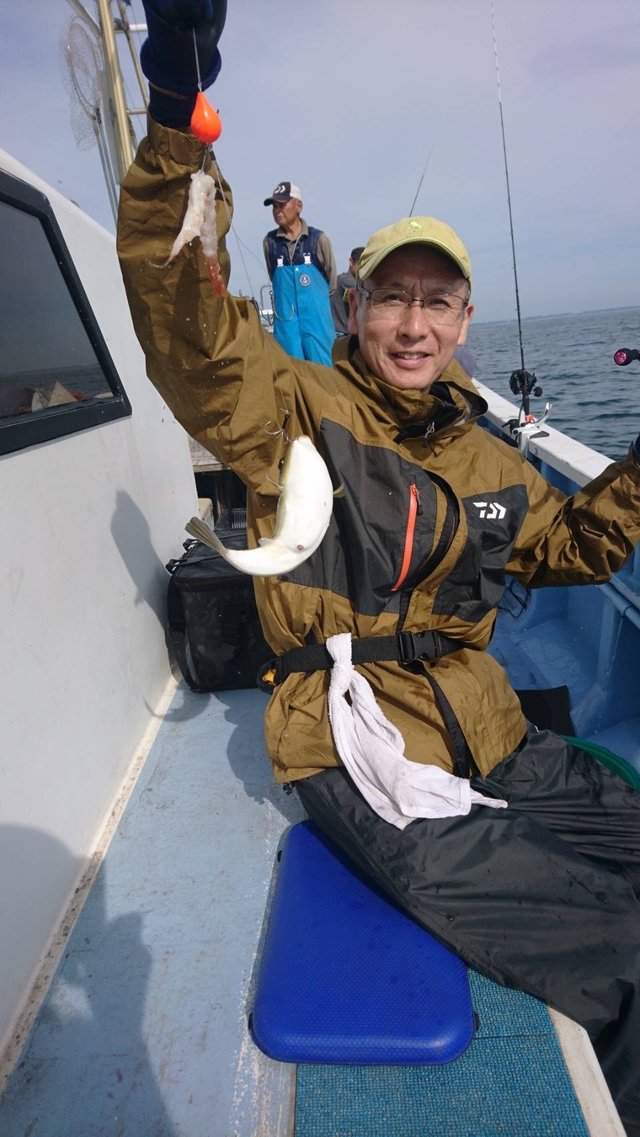 ショウサイフグ