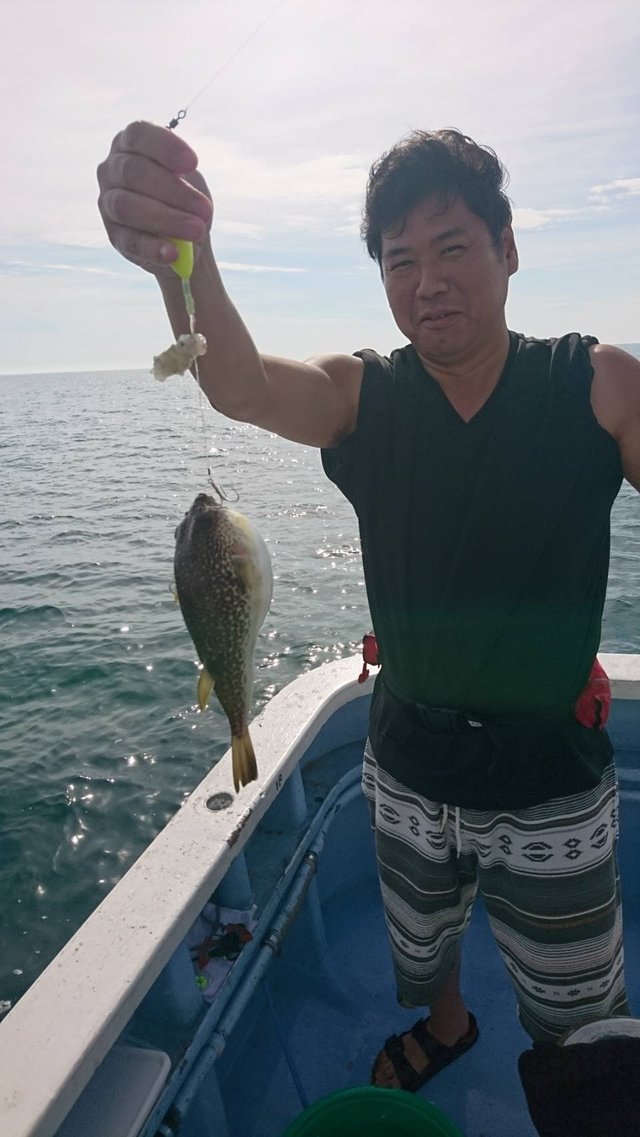 ショウサイフグ