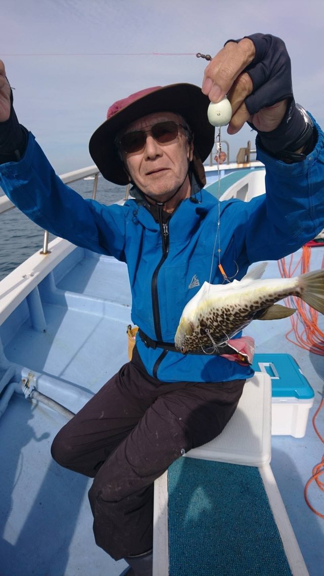 ショウサイフグ