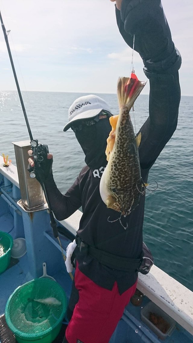 ショウサイフグ