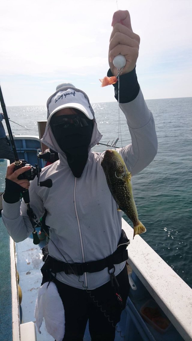 ショウサイフグ