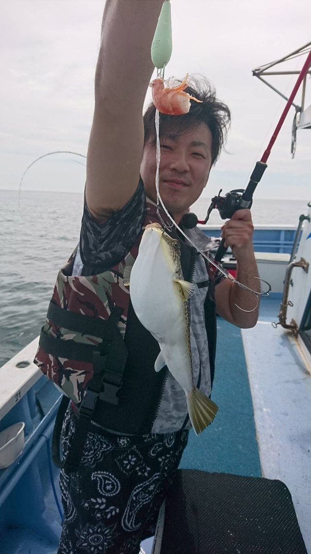 ショウサイフグ