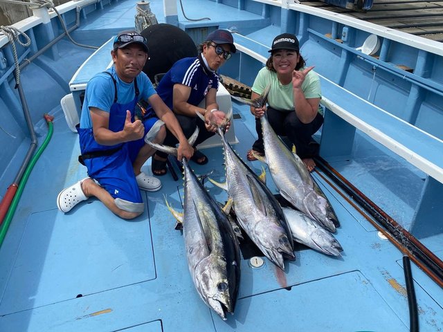 キハダマグロ(キハダ)