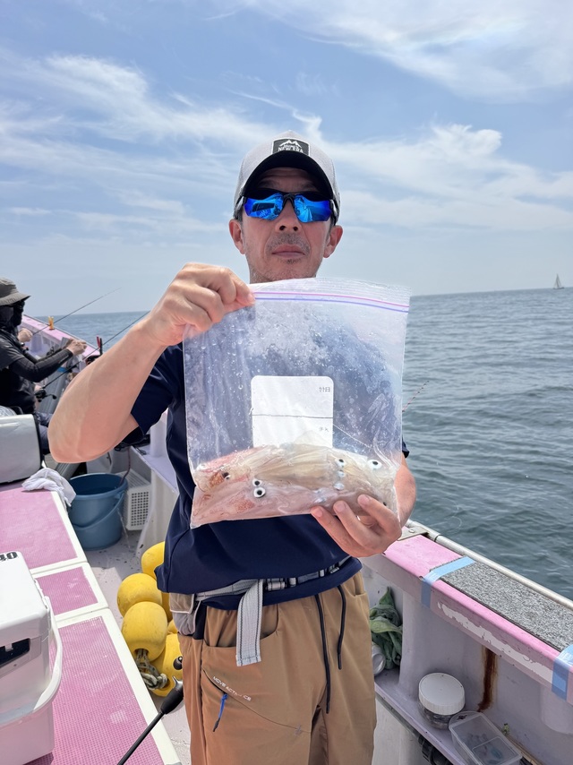 マルイカ(ケンサキイカ)