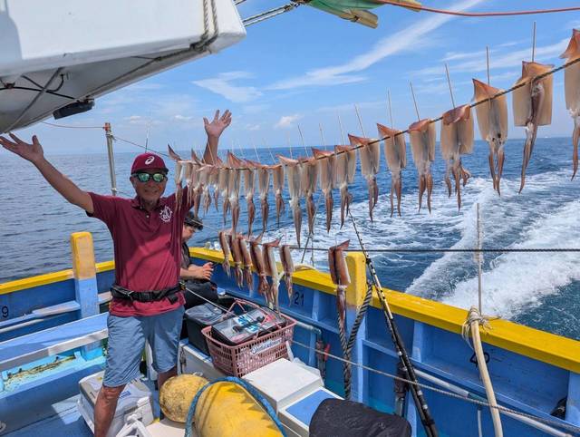 スルメ(スルメイカ)