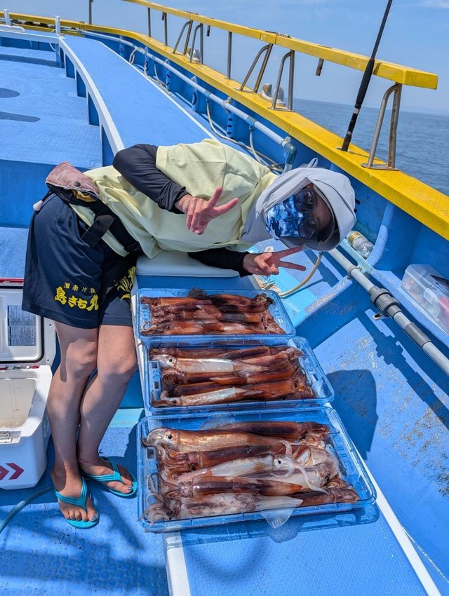 スルメ(スルメイカ)