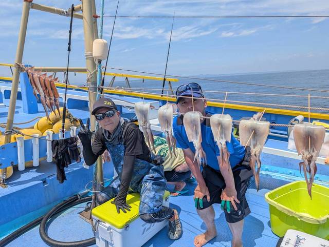 スルメ(スルメイカ)