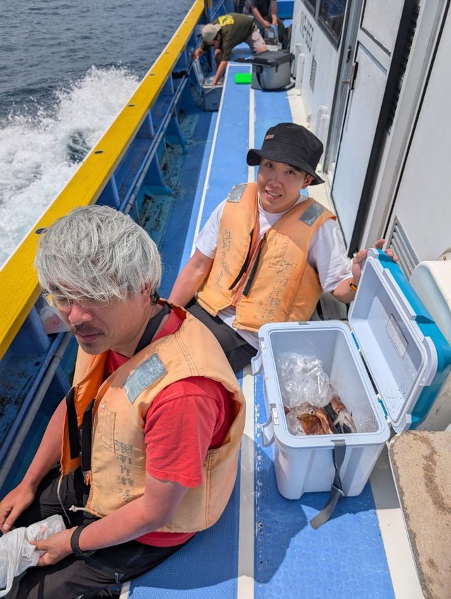 スルメ(スルメイカ)