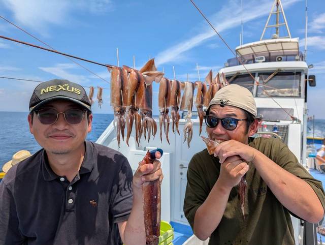 スルメ(スルメイカ)