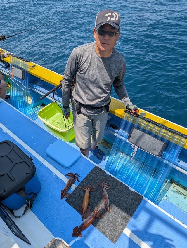 スルメ(スルメイカ)