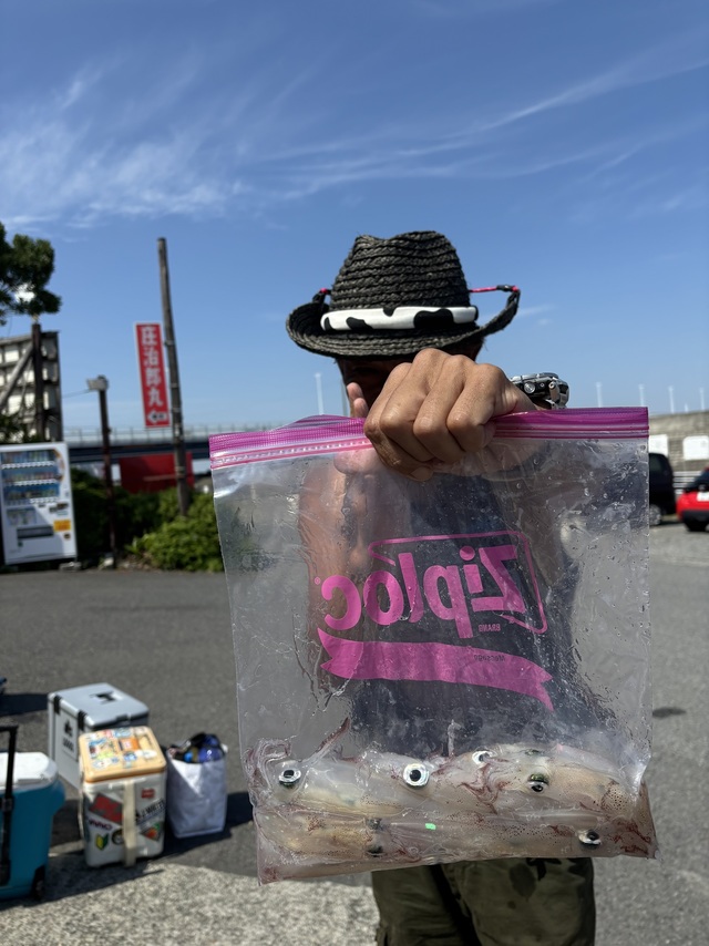 マルイカ(ケンサキイカ)