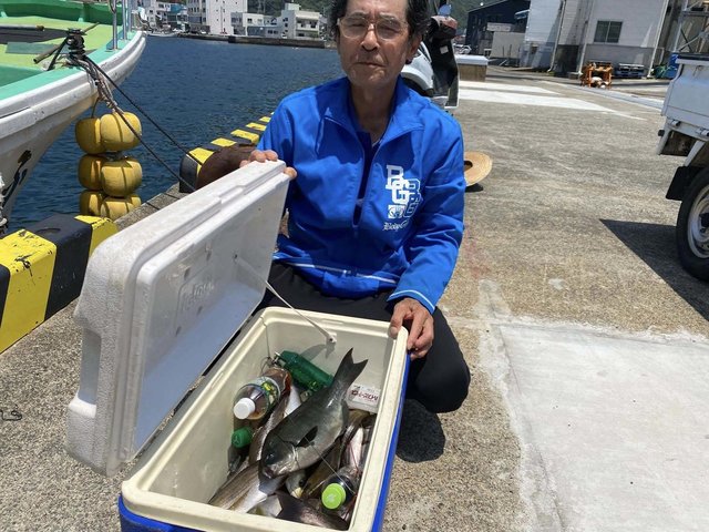 メジナ・イサキ