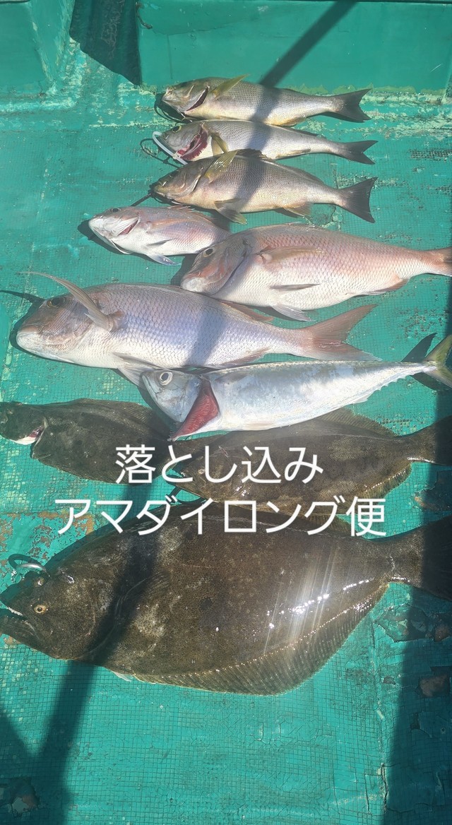 マダイ・ヒラメ