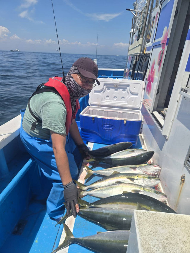 ワラサ(ブリ)・ヒラマサ