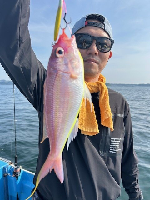 イトヨリ(イトヨリダイ)