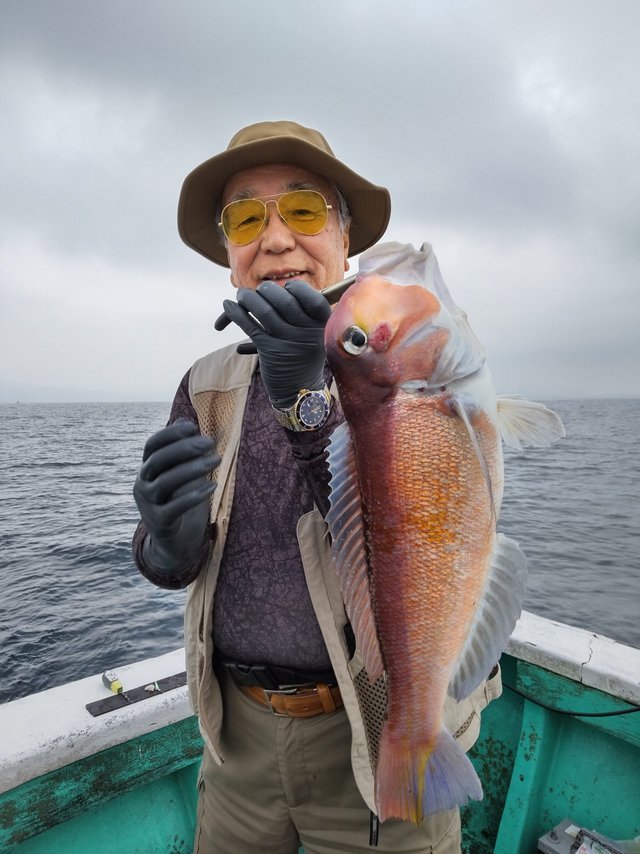 アマダイ(アカアマダイ)