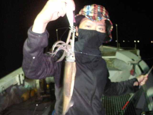 シロイカ(ケンサキイカ)