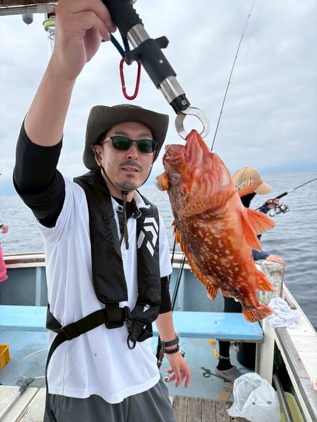 ガシラ(カサゴ)