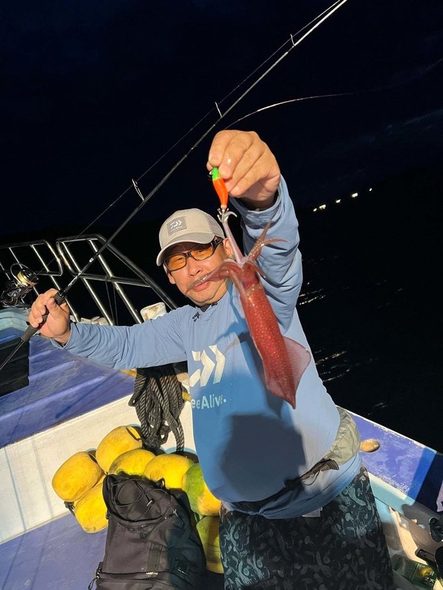 マルイカ(ケンサキイカ)