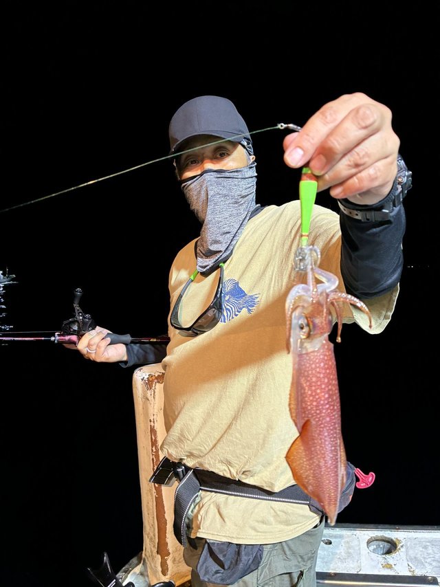 アカイカ(ケンサキイカ)