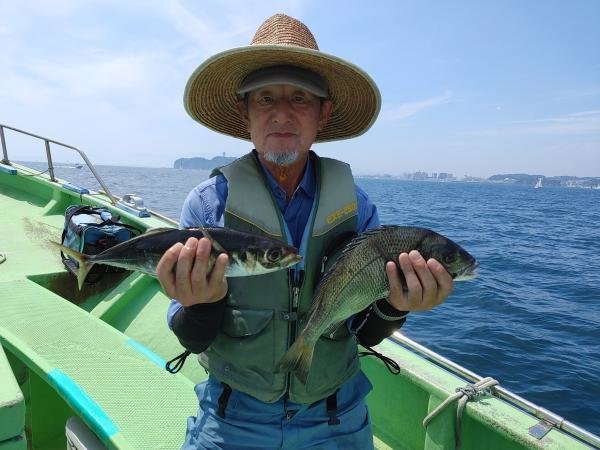 クロダイ・アジ(マアジ)