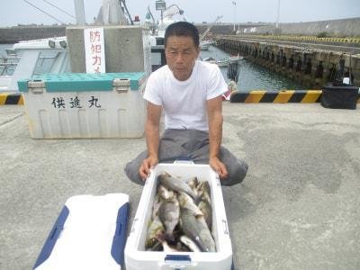 イサギ(イサキ)