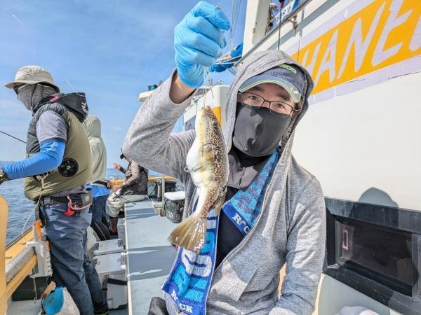 ショウサイフグ