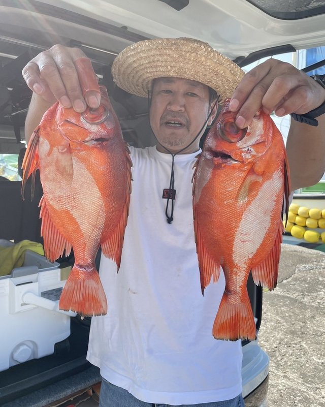 キントキ(チカメキントキ)