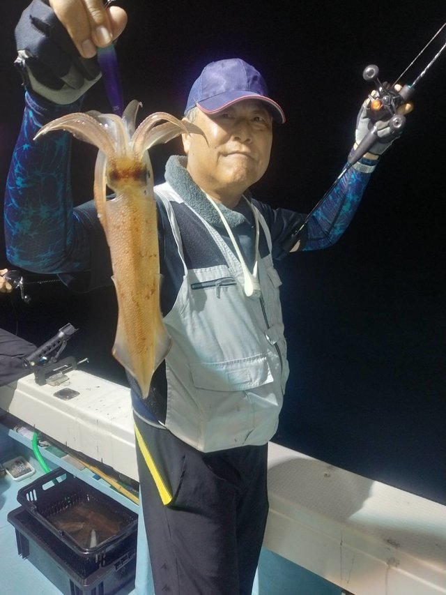 イカ(ヤリイカ)