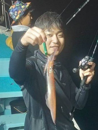 イカ(ヤリイカ)