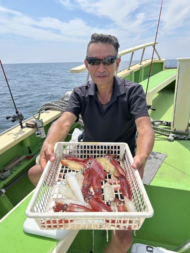 マルイカ(ケンサキイカ)