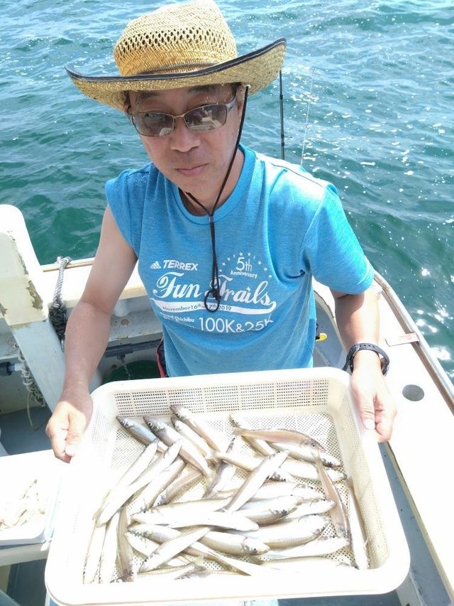 シロキス(シロギス)