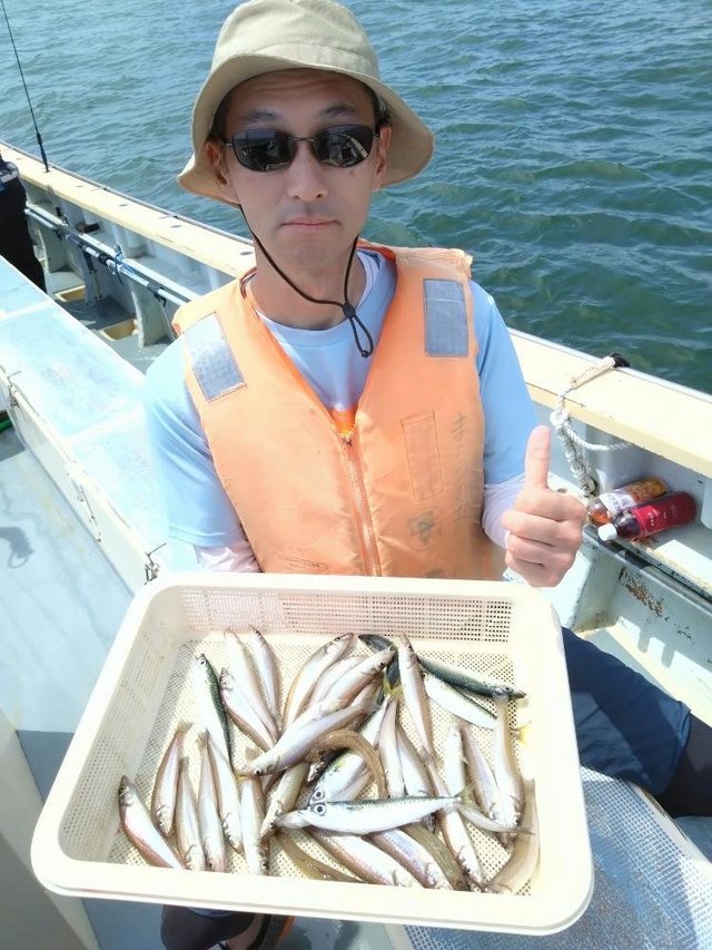 シロキス(シロギス)