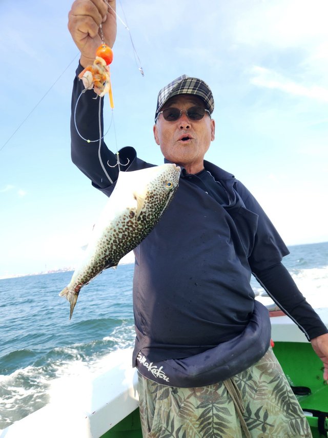 ショウサイフグ