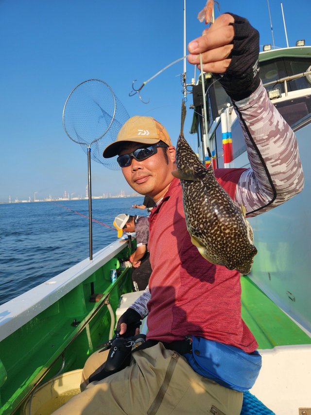 ショウサイフグ