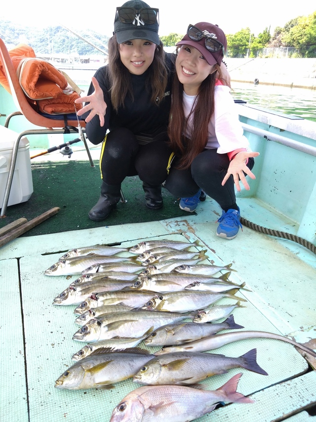 タイ(マダイ)・アジ(マアジ)・イサギ(イサキ)