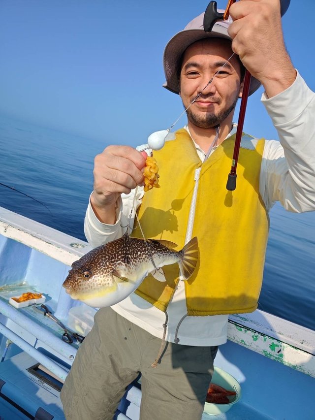 ショウサイフグ