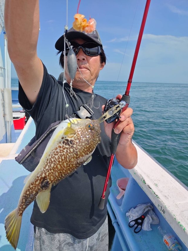 ショウサイフグ