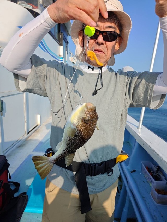 ショウサイフグ