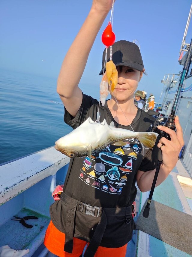 ショウサイフグ