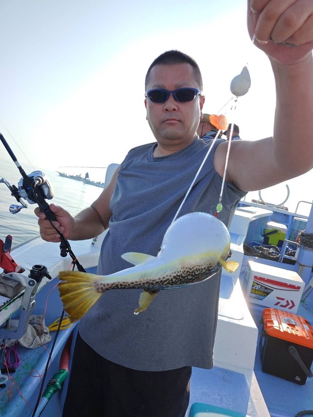 ショウサイフグ