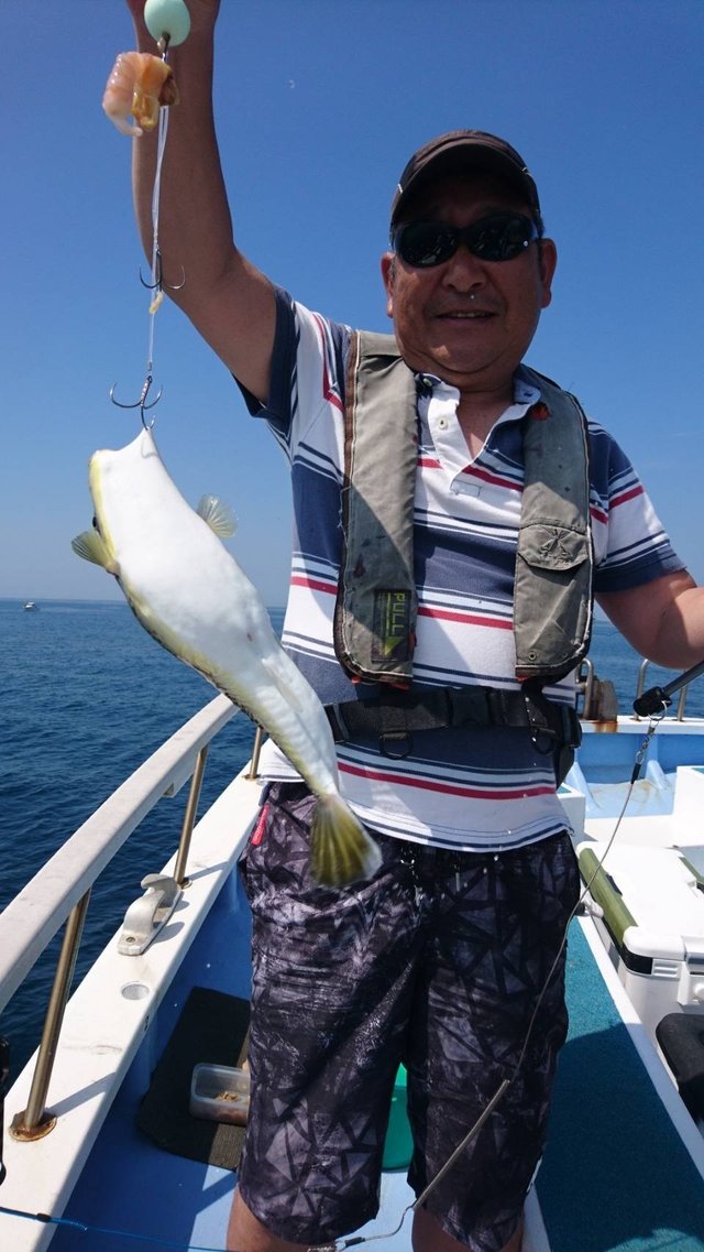 ショウサイフグ