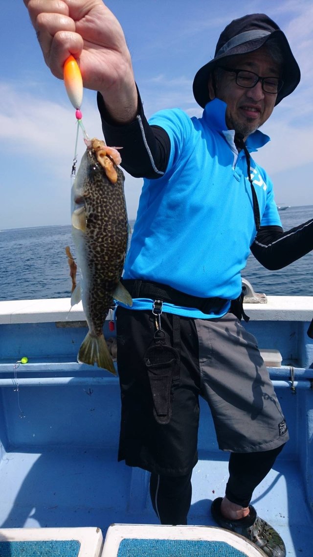 ショウサイフグ